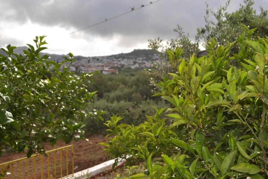 Karavos Hotel Apartments Archangelos  Bagian luar foto